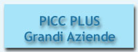 PICC Plus Grandi Aziende